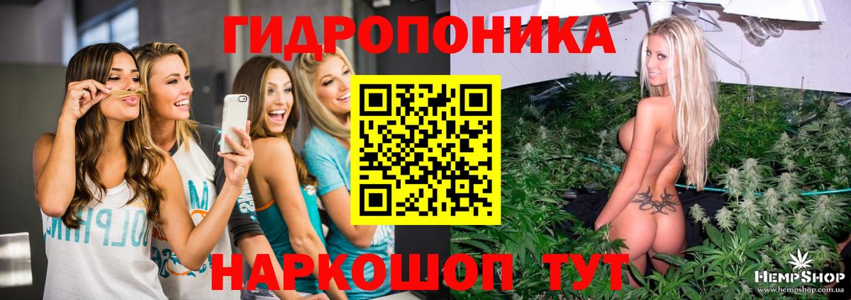 Марихуана сатива  Вход с VPN  Брянск  Шишки марихуана ГИДРОПОН 
